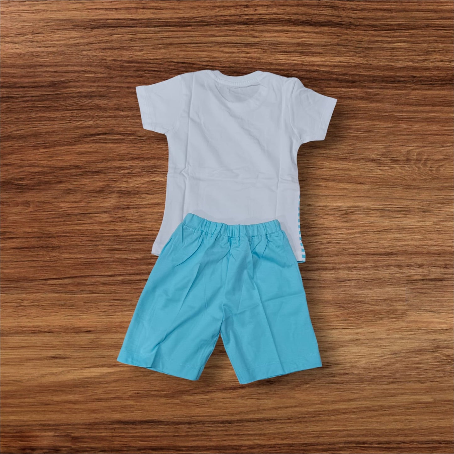 Baby Boys T-Shirt and Shorts Blue White Bear Set