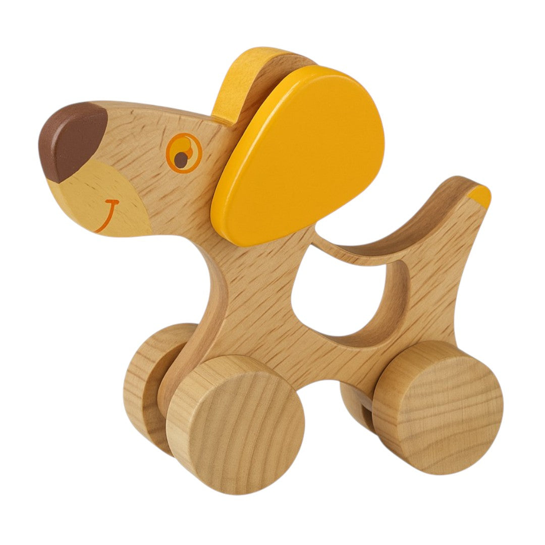Wooden Toy Combo (Dog, Fish, Educational Clock)